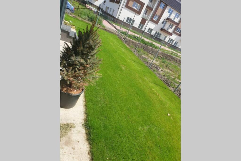 Garden Leisure Apartments براشوف المظهر الخارجي الصورة